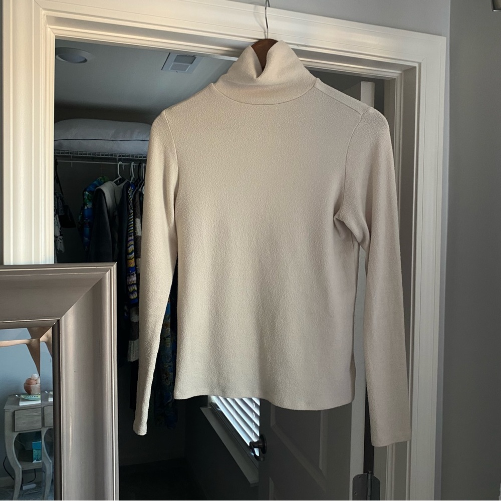 Express turtleneck sweater